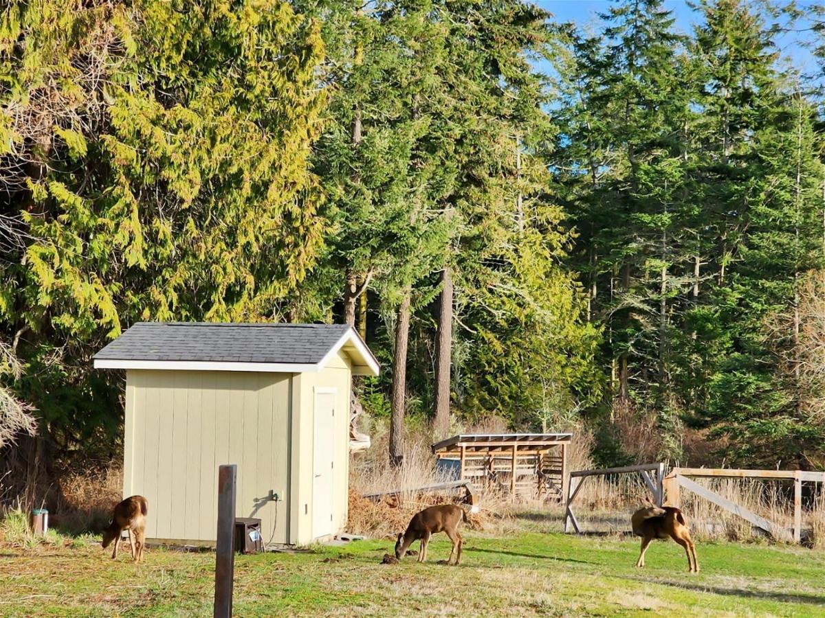 Sq Olympic-View-Cottage Sequim Exterior foto